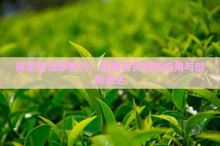 探索普洱茶魅力：直播带货的新视角与创新表达