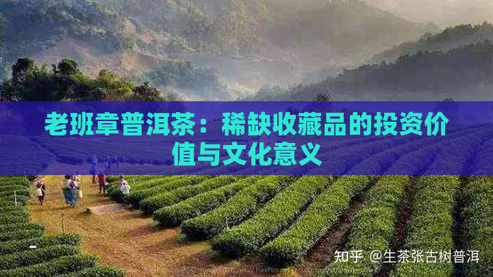 老班章普洱茶：稀缺收藏品的投资价值与文化意义