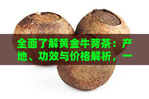 全面了解黄金牛蒡茶：产地、功效与价格解析，一杯茶的健益处与经济价值