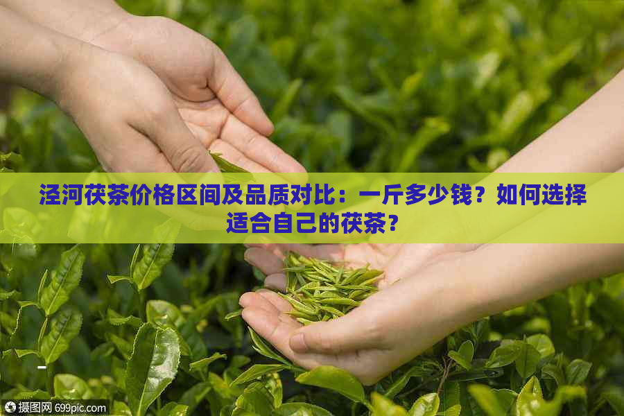 泾河茯茶价格区间及品质对比：一斤多少钱？如何选择适合自己的茯茶？