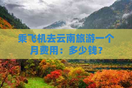 乘飞机去云南旅游一个月费用：多少钱？