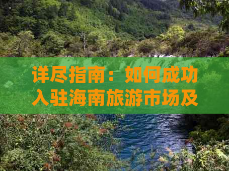 详尽指南：如何成功入驻海南旅游市场及组织团队入境全解析