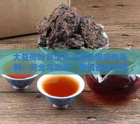 大益荷叶普洱茶过期能喝吗有吗：安全与功效，普洱茶会过期吗？