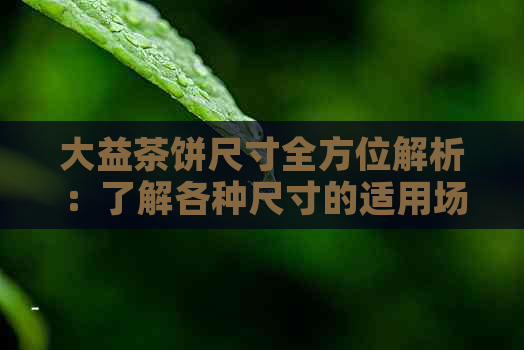 大益茶饼尺寸全方位解析：了解各种尺寸的适用场景和购买建议