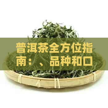 普洱茶全方位指南：、品种和口感对比，助你轻松找到更爱的普洱茶