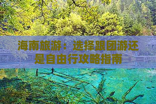 海南旅游：选择跟团游还是自由行攻略指南