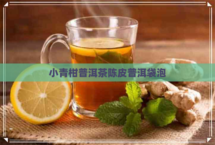 小青柑普洱茶陈皮普洱袋泡