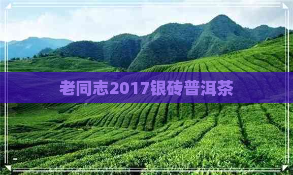 老同志2017银砖普洱茶