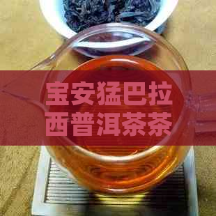 宝安猛巴拉西普洱茶茶城：品鉴云南大叶种普洱茶的极指南