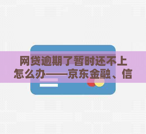 网贷逾期了暂时还不上怎么办——京东金融、信用卡等多种情况解答