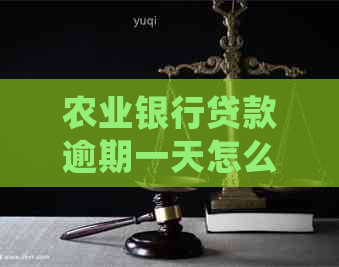 农业银行贷款逾期一天怎么主动还款：还一天会影响吗？