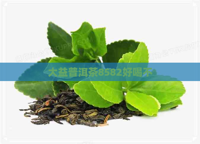 大益普洱茶8582好喝不