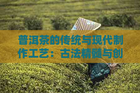 普洱茶的传统与现代制作工艺：古法精髓与创新实践