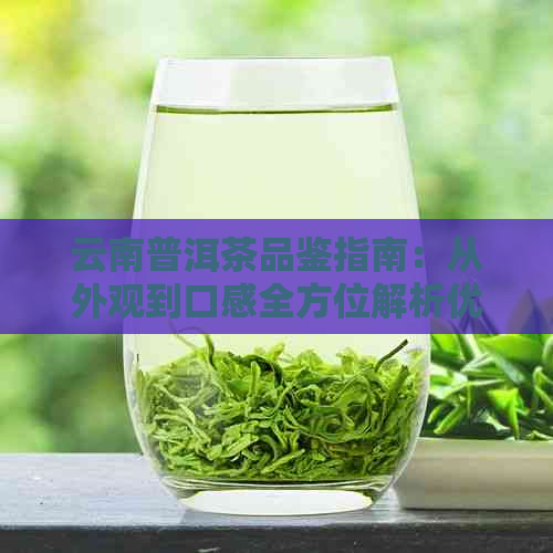 云南普洱茶品鉴指南：从外观到口感全方位解析优质茶叶的关键要素