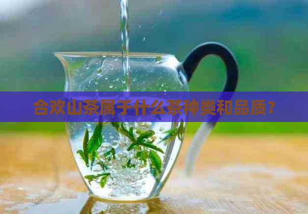 合欢山茶属于什么茶种类和品质？