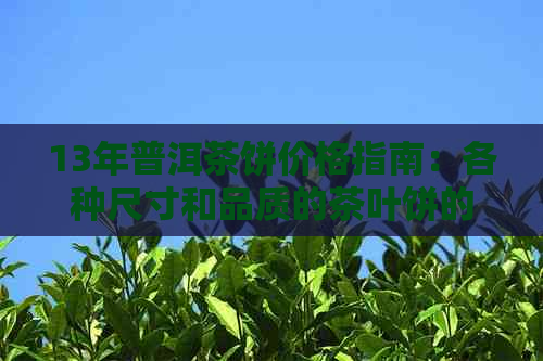 13年普洱茶饼价格指南：各种尺寸和品质的茶叶饼的市场价格分析