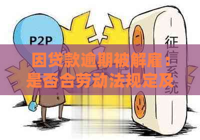 因贷款逾期被解雇：是否合劳动法规定及应对策略