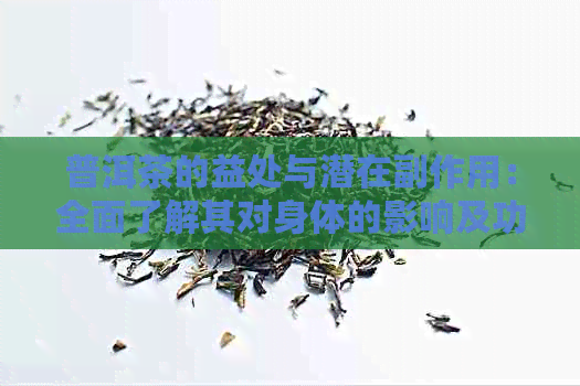 普洱茶的益处与潜在副作用：全面了解其对身体的影响及功效