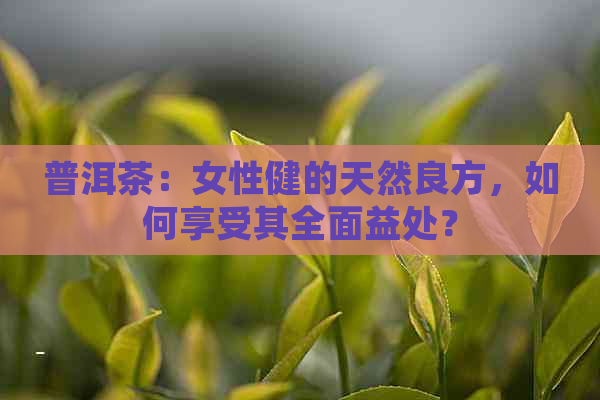 普洱茶：女性健的天然良方，如何享受其全面益处？