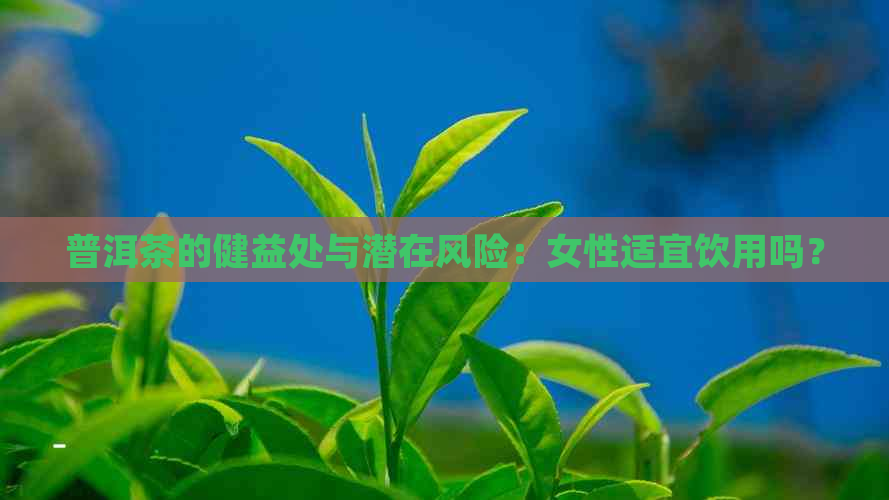 普洱茶的健益处与潜在风险：女性适宜饮用吗？