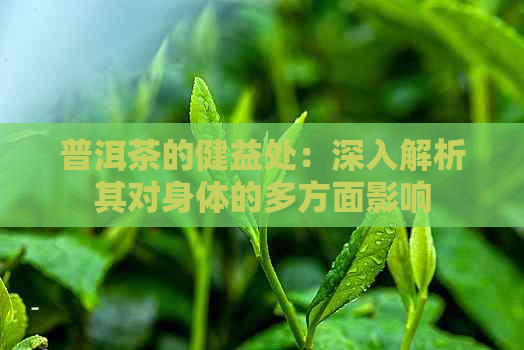 普洱茶的健益处：深入解析其对身体的多方面影响