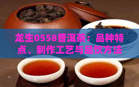 龙生0558普洱茶：品种特点、制作工艺与品饮方法详解，助您全面了解这款茶叶