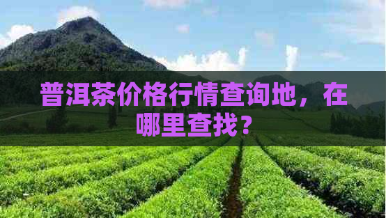 普洱茶价格行情查询地，在哪里查找？