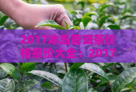 2017冰岛普洱茶价格报价大全：2017、2018、2019年最新冰岛普洱茶价目表