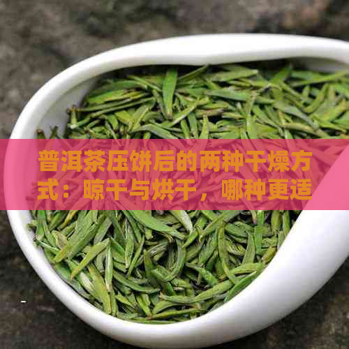 普洱茶压饼后的两种干燥方式：晾干与烘干，哪种更适合？