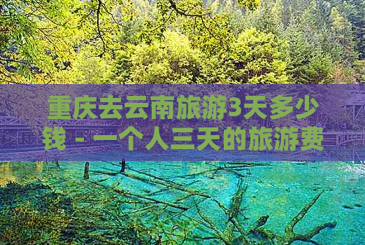 重庆去云南旅游3天多少钱 - 一个人三天的旅游费用是多少？