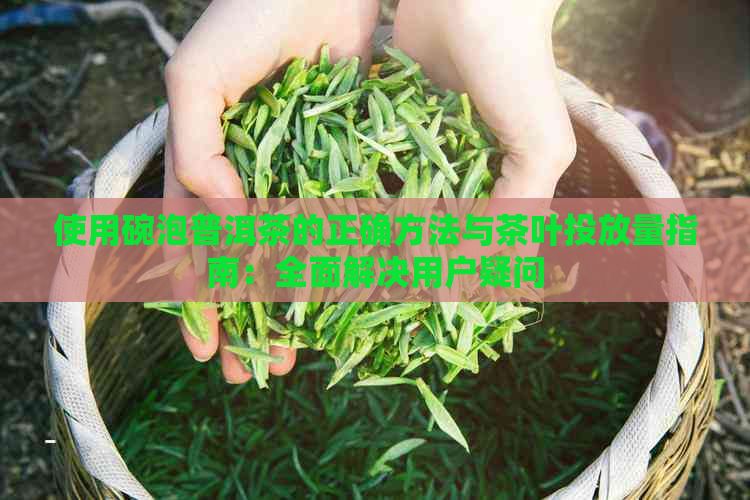 使用碗泡普洱茶的正确方法与茶叶投放量指南：全面解决用户疑问