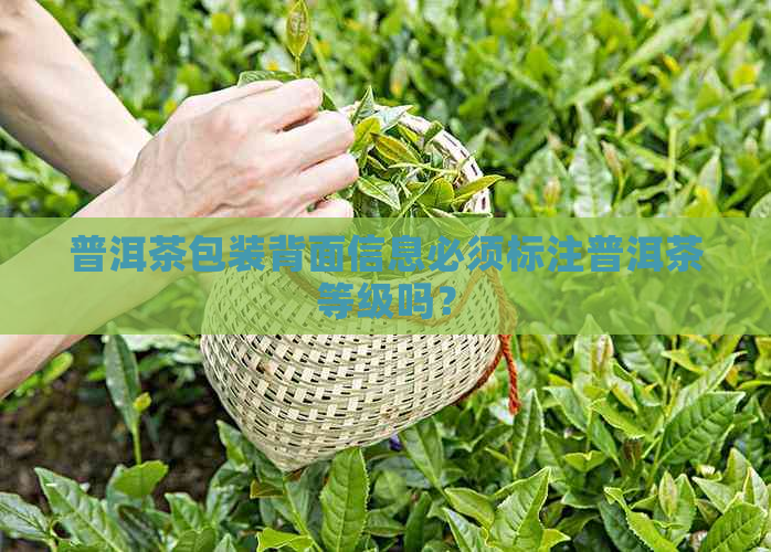 普洱茶包装背面信息必须标注普洱茶等级吗？