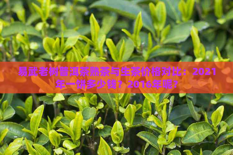 易武老树普洱茶熟茶与生茶价格对比：2021年一饼多少钱？2016年呢？