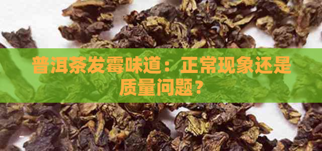 普洱茶发霉味道：正常现象还是质量问题？