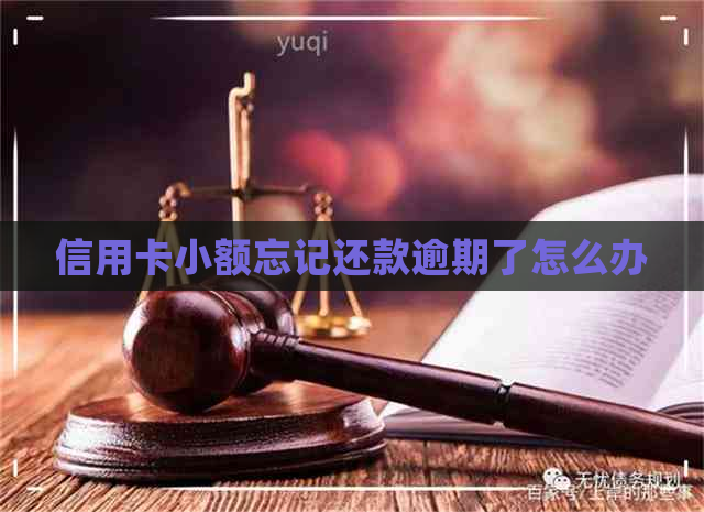 信用卡小额忘记还款逾期了怎么办