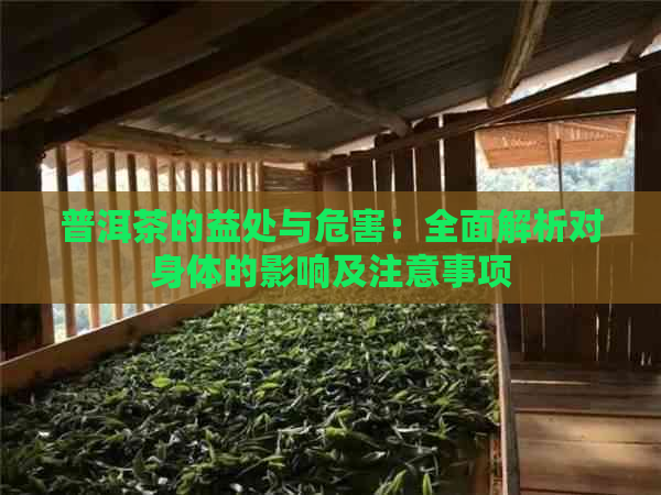 普洱茶的益处与危害：全面解析对身体的影响及注意事项