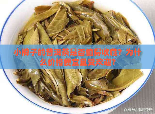 小牌子的普洱茶是否值得收藏？为什么价格便宜且受欢迎？