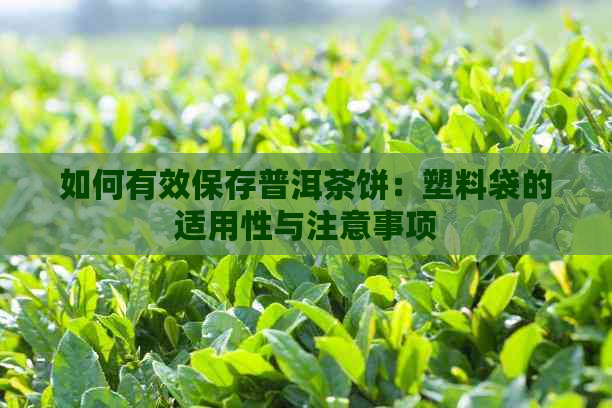 如何有效保存普洱茶饼：塑料袋的适用性与注意事项