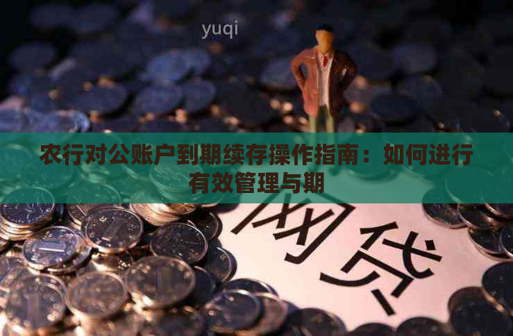 农行对公账户到期续存操作指南：如何进行有效管理与期