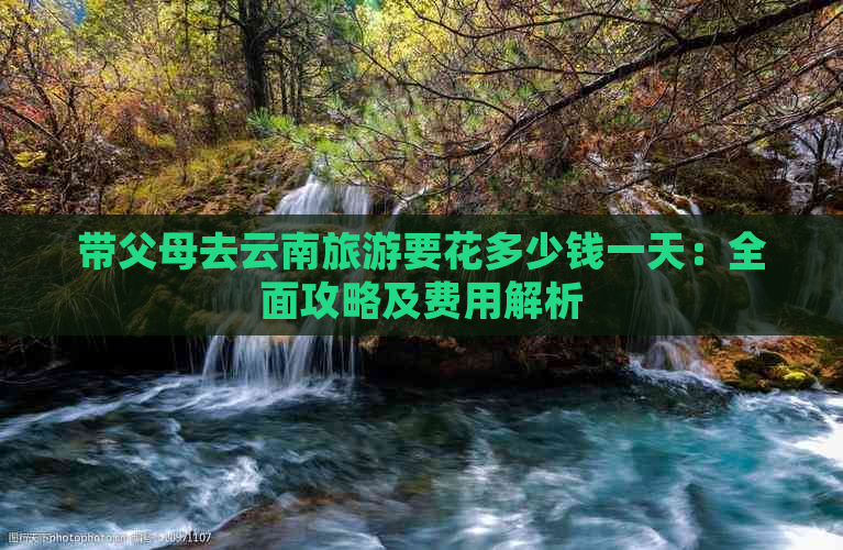 带父母去云南旅游要花多少钱一天：全面攻略及费用解析