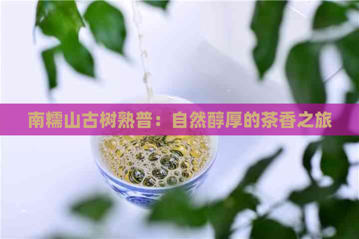 南糯山古树熟普：自然醇厚的茶香之旅