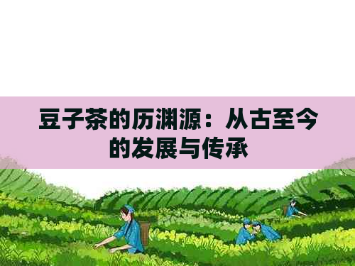 豆子茶的历渊源：从古至今的发展与传承