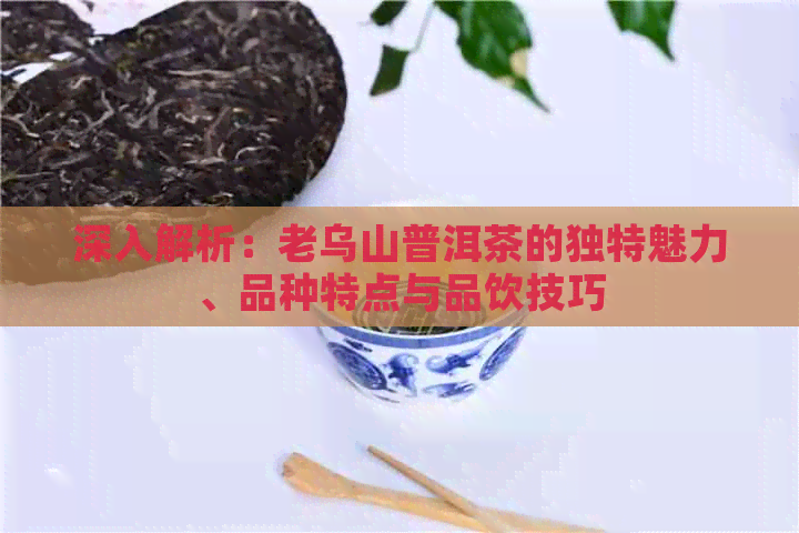 深入解析：老乌山普洱茶的独特魅力、品种特点与品饮技巧