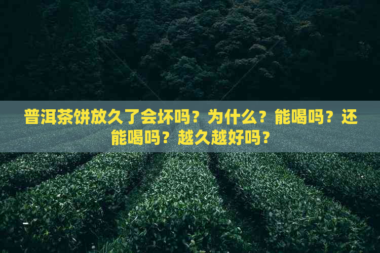 普洱茶饼放久了会坏吗？为什么？能喝吗？还能喝吗？越久越好吗？