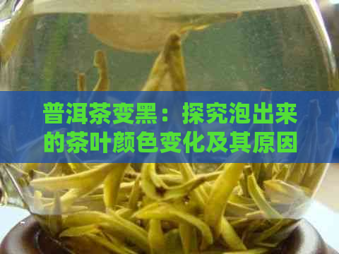 普洱茶变黑：探究泡出来的茶叶颜色变化及其原因