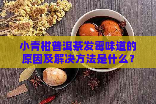 小青柑普洱茶发霉味道的原因及解决方法是什么？