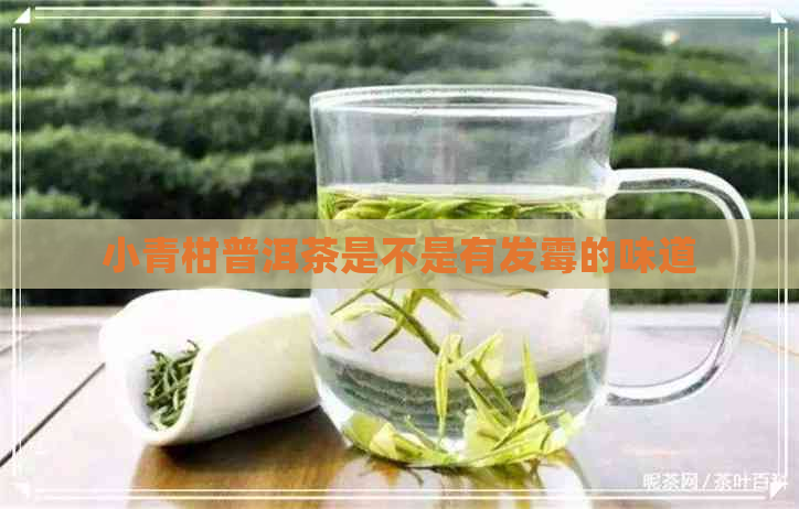 小青柑普洱茶是不是有发霉的味道