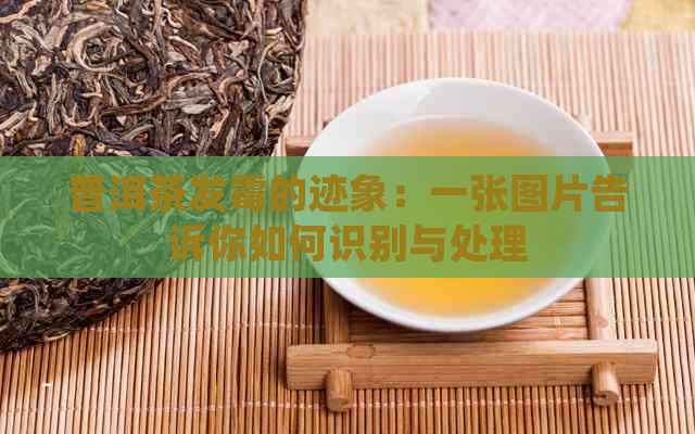 普洱茶发霉的迹象：一张图片告诉你如何识别与处理