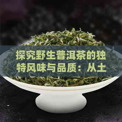 探究野生普洱茶的独特风味与品质：从土到叶片的全方位解读