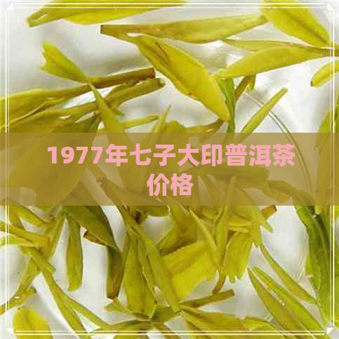 1977年七子大印普洱茶价格